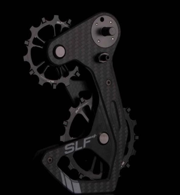 2023 SLF Motion