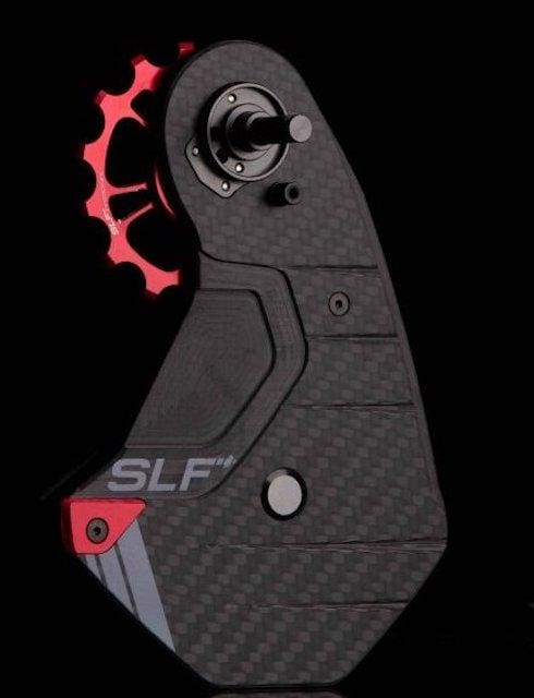 2023 SLF Motion
