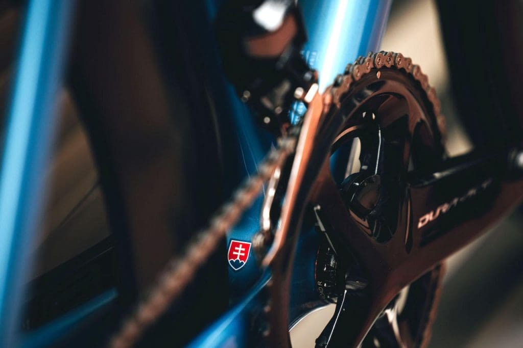 2023 TotalEnergies Specialized S-Works Tarmac SL7