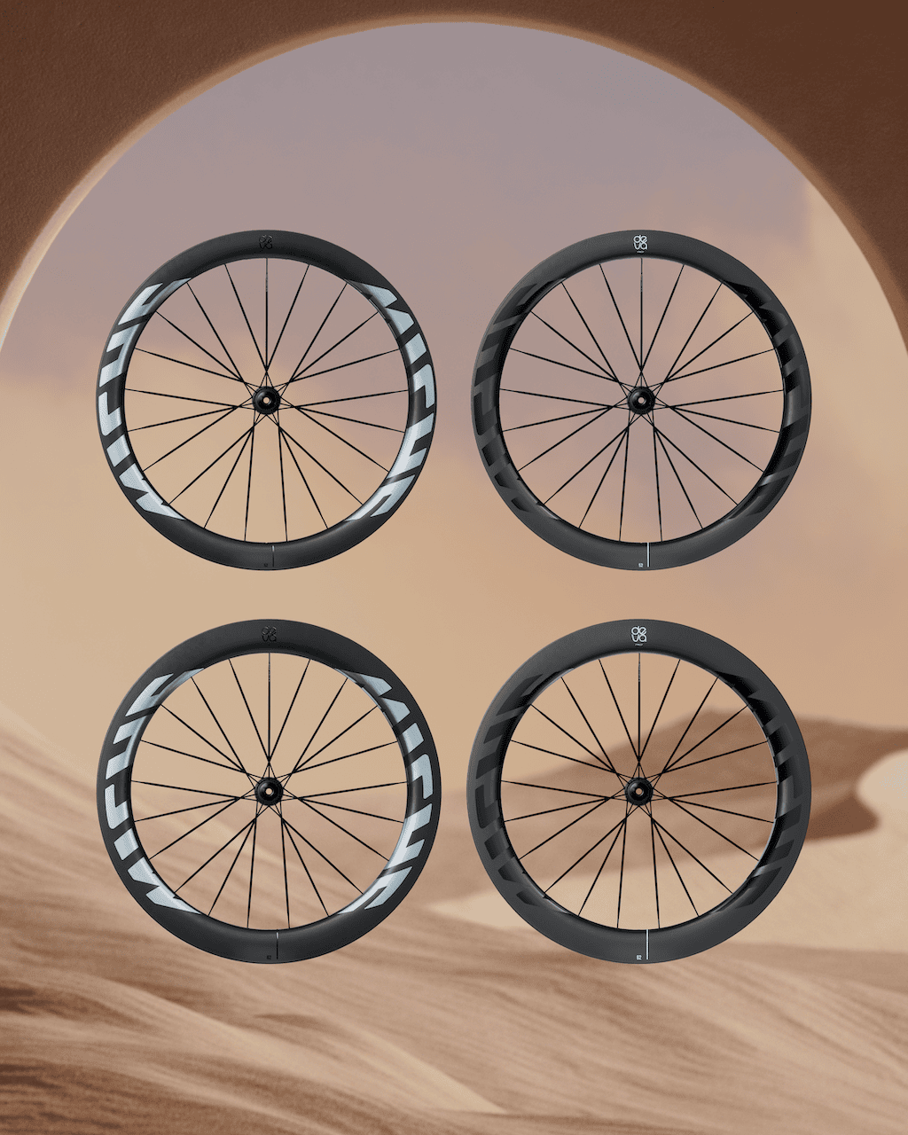 roues Miche Deva RD