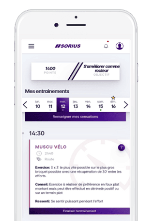 2023 Application Sorius
